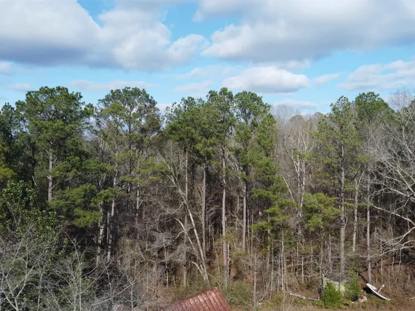 2090 Mud Creek Rd, Millport, AL 35576