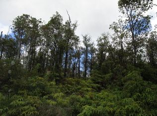 Jungle King Ave LOT 53, Volcano, HI 96785
