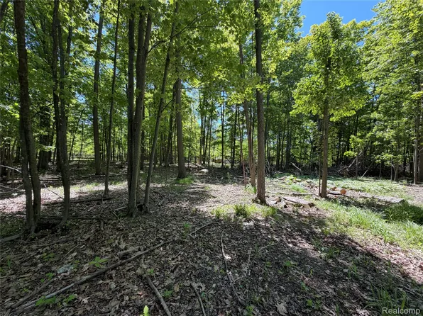 0 Dudley Rd, Brown City, MI 48416