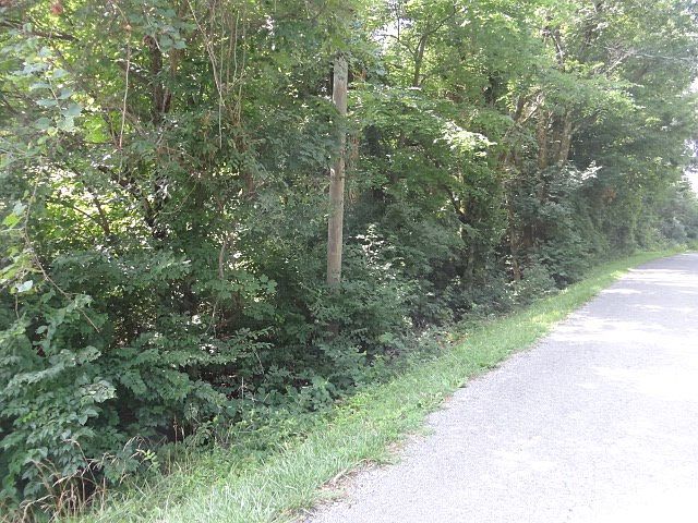 2nd image of 1704 Boatmans Ridge Rd