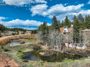 1074 Pathfinder Rd, Florissant, CO 80816