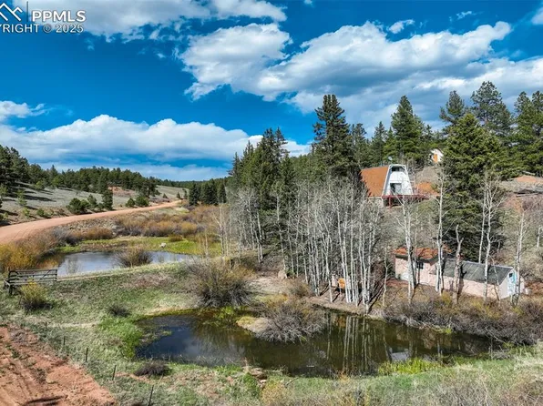 1074 Pathfinder Rd, Florissant, CO 80816