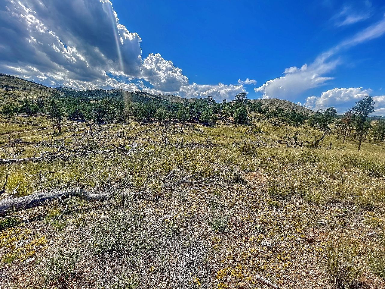 31 Saint Trl 10, Cotopaxi, CO 81223 MLS 2516377 Zillow