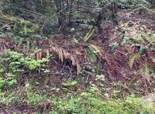 13 N Dow Ridge Rd, Hoodsport, WA 98548