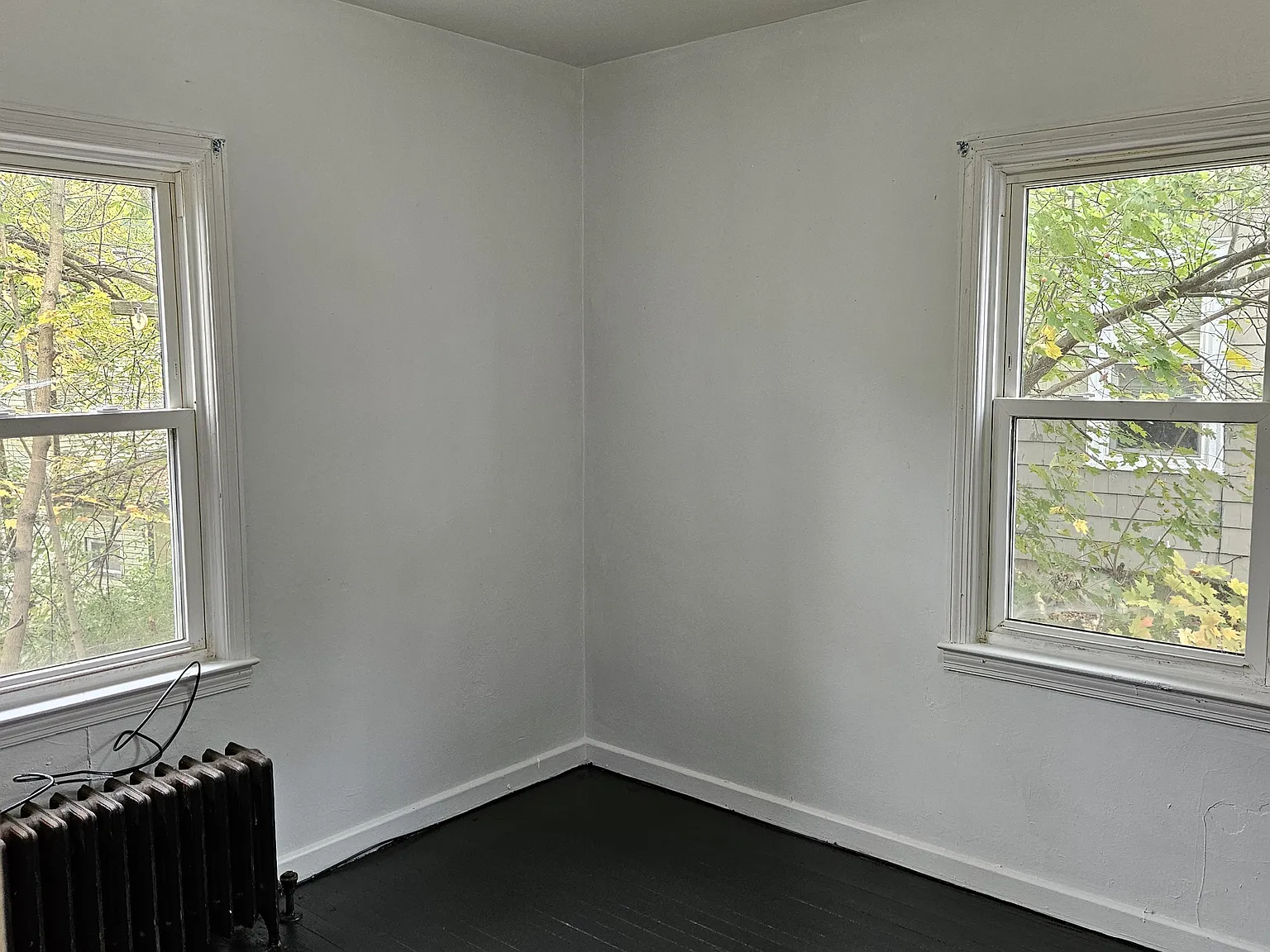 1 bed, $950 — Photo 2
