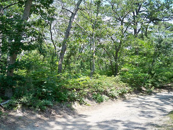 4th image of 0 Border Rd Lot 23.8