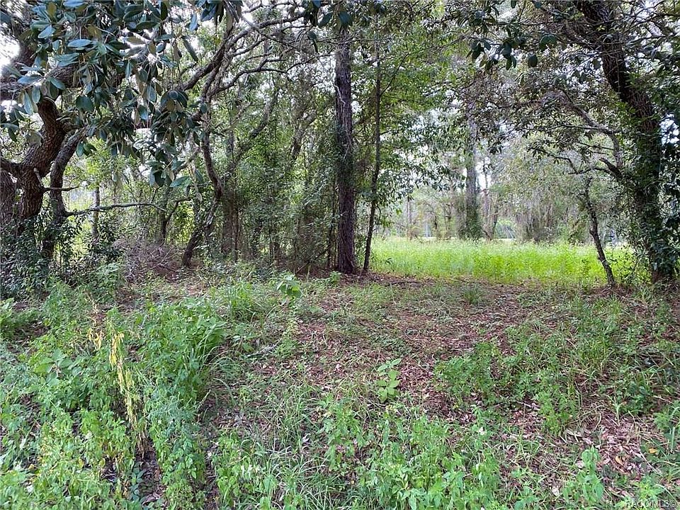 2nd image of 23 Ryewood Cir