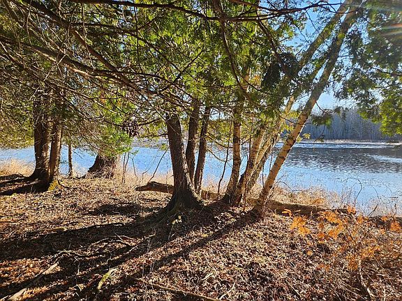 3rd image of 0 Cedar Lane