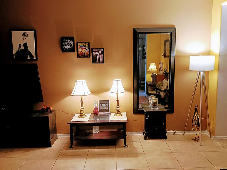 Living Room
Fully Furnished