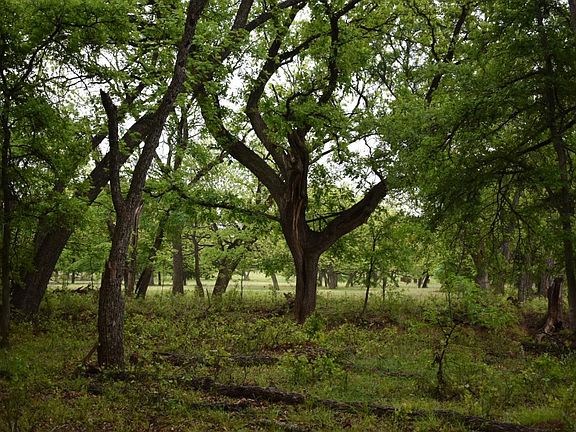 4th image of 494 County Road 458