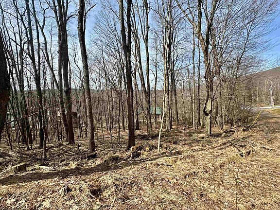 4th image of LOT 9 Fern Ct