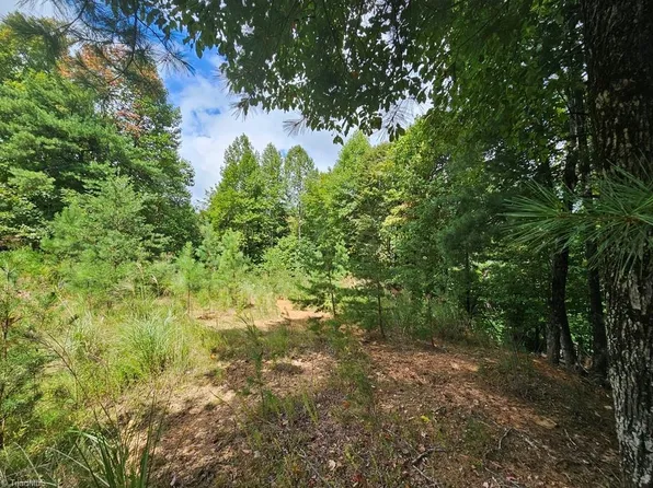 Tbd Mertie Rd, Millers Creek, NC 28651