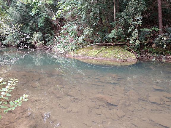 4th image of 527 Blue Branch Rd
