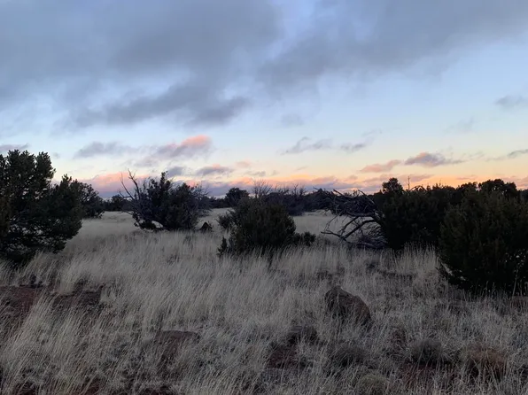 No Address Lot 1916 Mills Lane Road #1916, Concho, AZ 85924