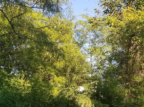 0 Pine St, Bonne Terre, MO 63628