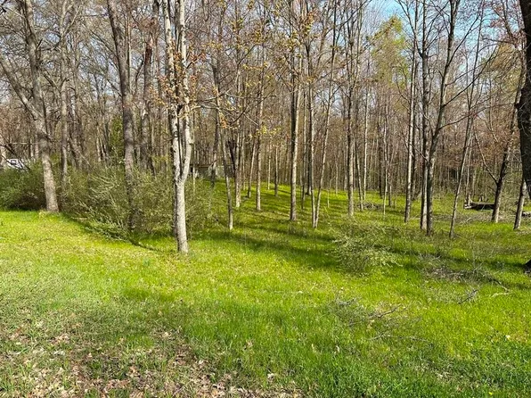2060 Birch Rd, Harrison, MI 48625