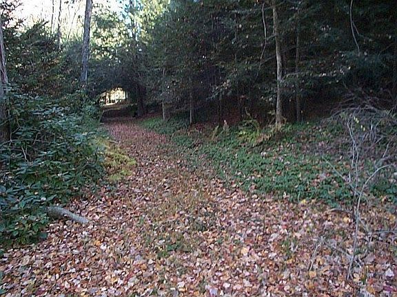 Driveway leading to the old cabin