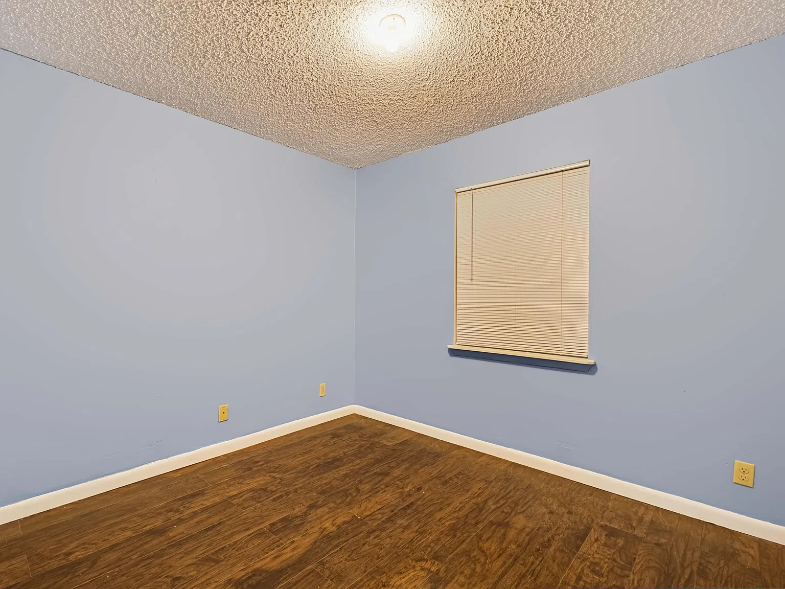 3 bed, 2.0 bath, 1253 sqft, $3,100 — Photo 4