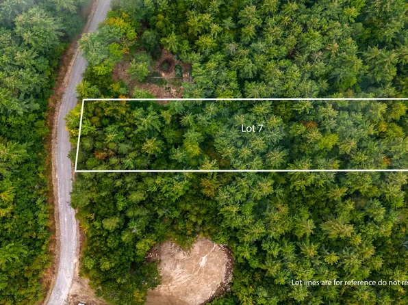 19-7 Winnipesaukee Drive Survey lot 7-Town lot 19, Wolfeboro, NH 03894