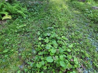 106 Woodridge Rd, Banner Elk, NC 28604