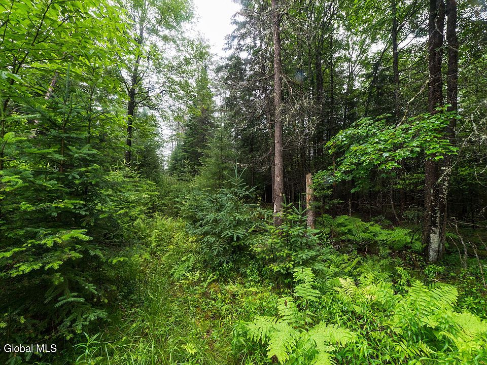 L7 Trout Brook Road, Olmstedville, NY 12857 Zillow