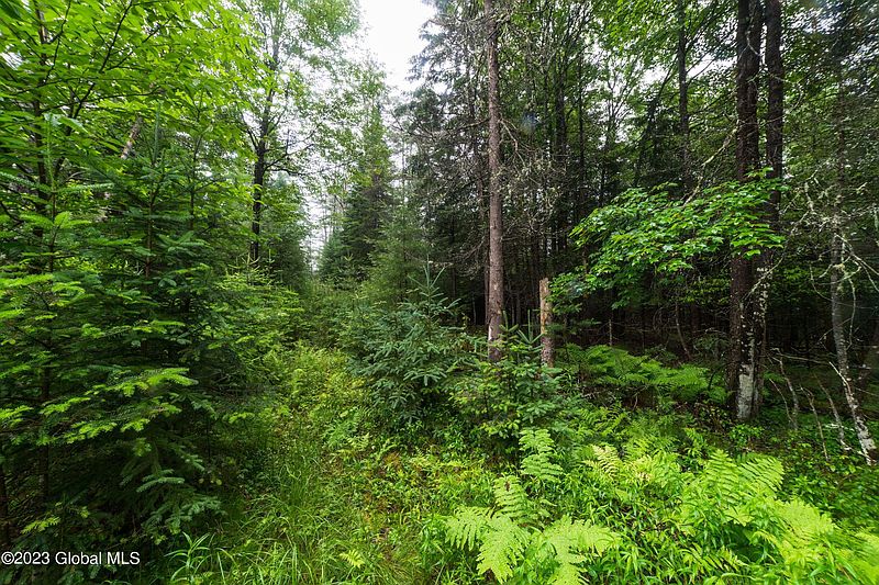 2nd image of L7 Trout Brook Road