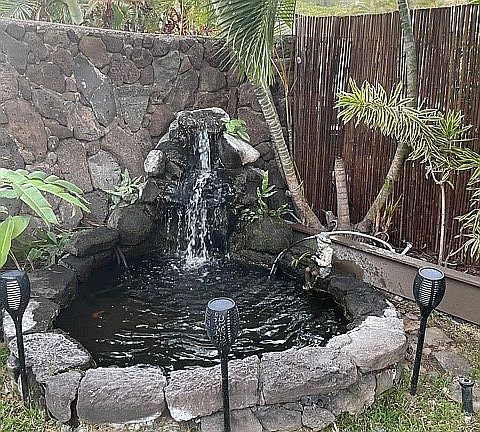 Frnt yrd waterfl w fish Pond