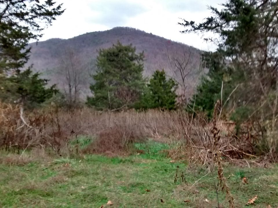 1st image of 00 South Creek