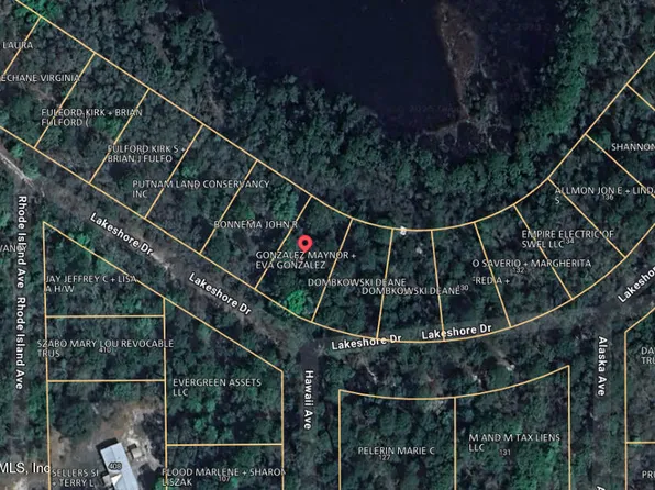 124 LAKESHORE Drive, Satsuma, FL 32189