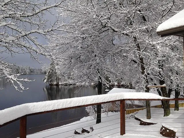 Gorgeous view from living room and patio