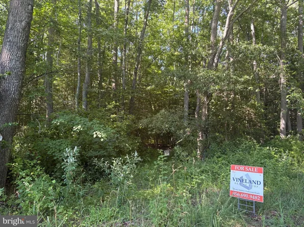 0 Mill Pond Rd, Hancocks Bridge, NJ 08038