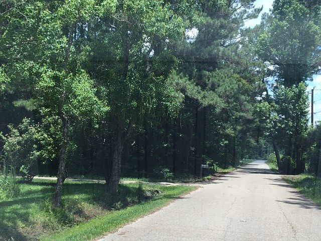 2nd image of George Settlement Road