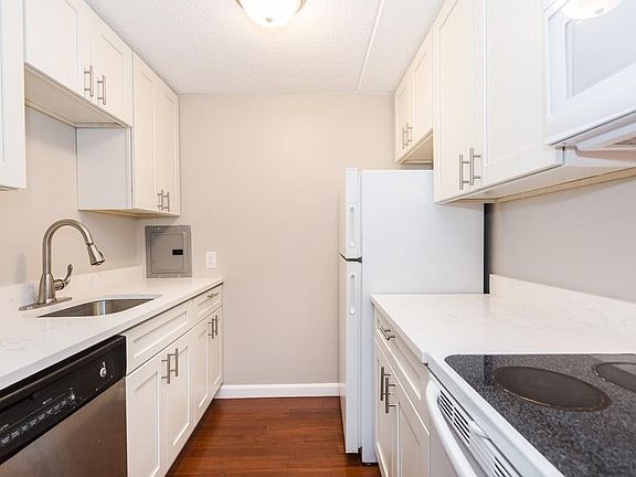 5th image of 12-16 Ellery St #201