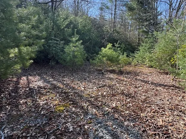7797 Huskins Drive #Tract 4, Newland, NC 28657
