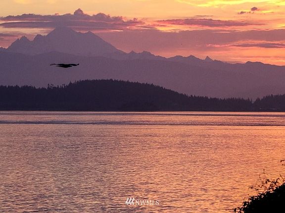 Sunrise illuminates the bay to a rosy glow.