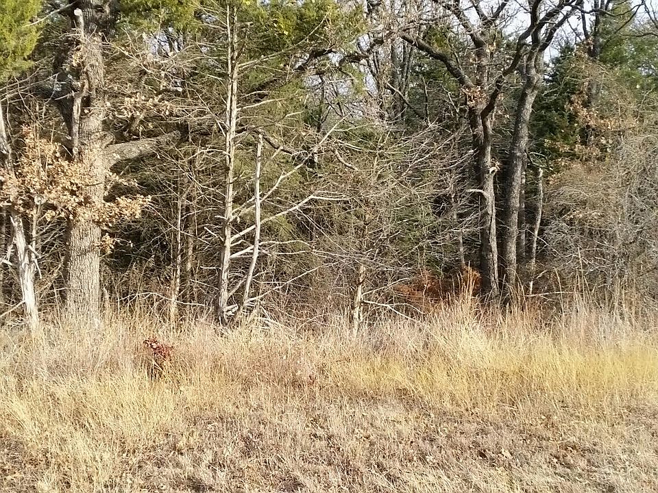2nd image of Maguire Rd