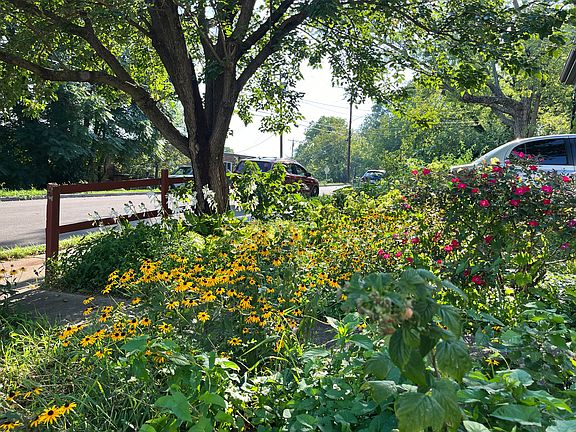 Front yard in summer. (I mixed vegetables in with flowers!)