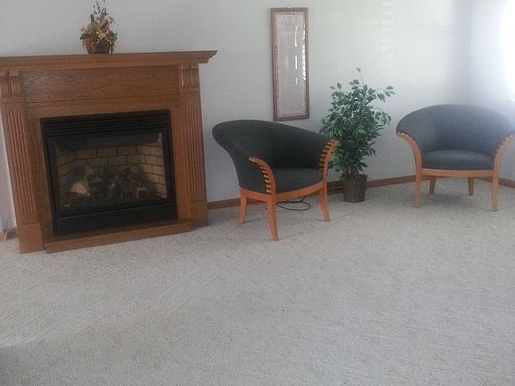 (Living room gas fire place