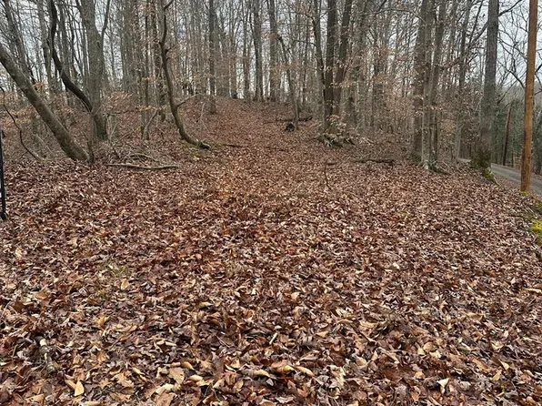 1936 Scott Finley Rd, Burkesville, KY 42717