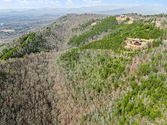 4th image of American Eagle Rd