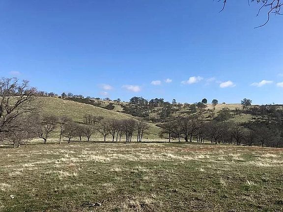 5th image of Lanford Pacheco Rd