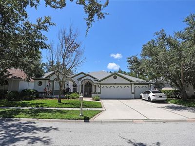 10206 Shadow Branch Dr, Tampa, FL, 33647