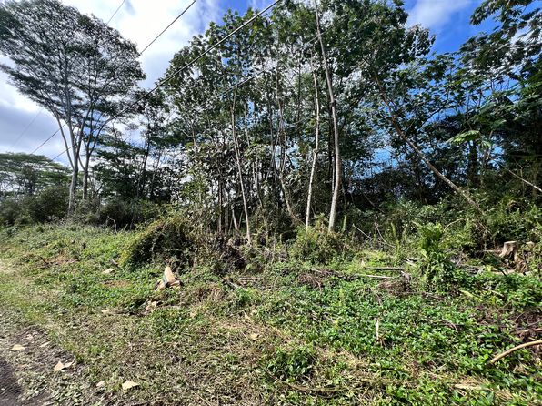 471 Mauna Kea Rd, Pahoa, HI 96778
