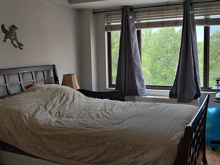 Primary bedroom, with blinds and curtains, large closet