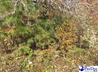 105 N Kim Rd, Florence, SC 29506