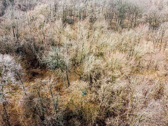 5th image of 0 Timothy Rd