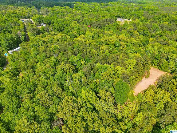 5th image of 0 County Road 42 #4