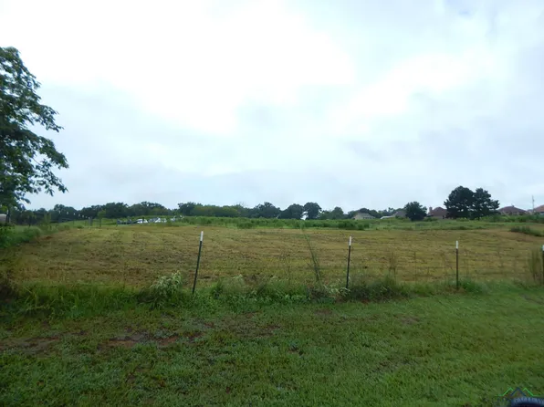 1.33 Cardinal Rd #A, Gilmer, TX 75645