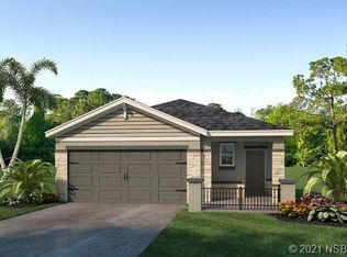 315 Caryota Ct, New Smyrna Beach, FL 32168