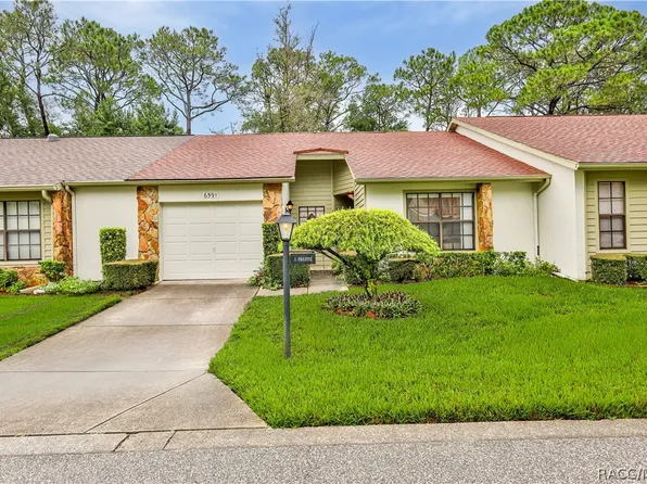 6591 Brambleleaf Dr, Spring Hill, FL 34606